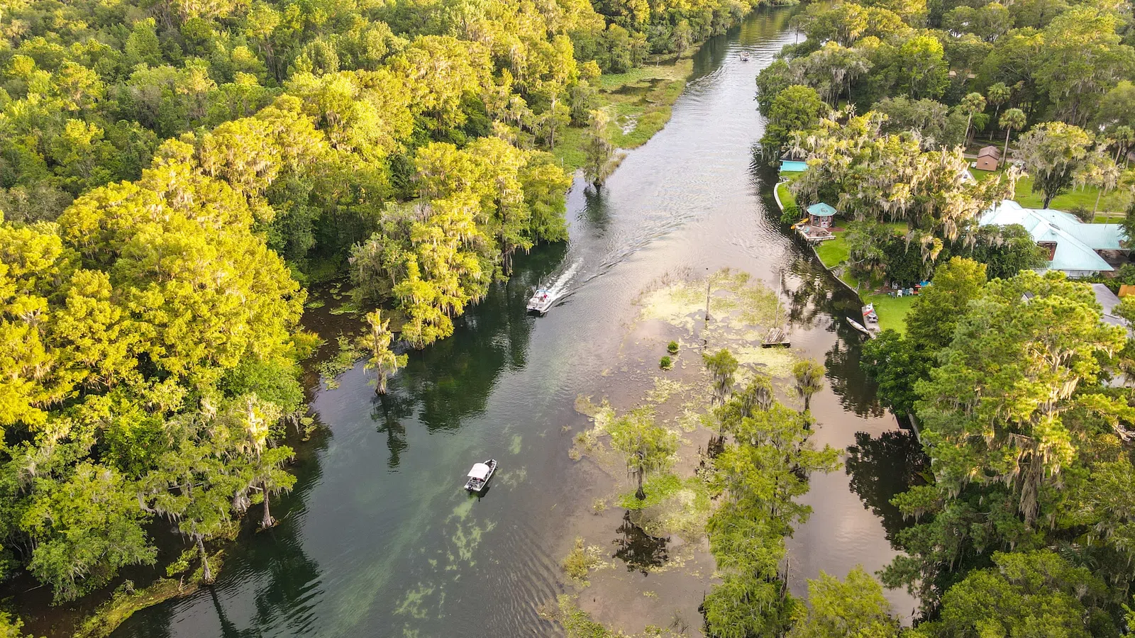 Floating Floats for Mardi Gras 2021