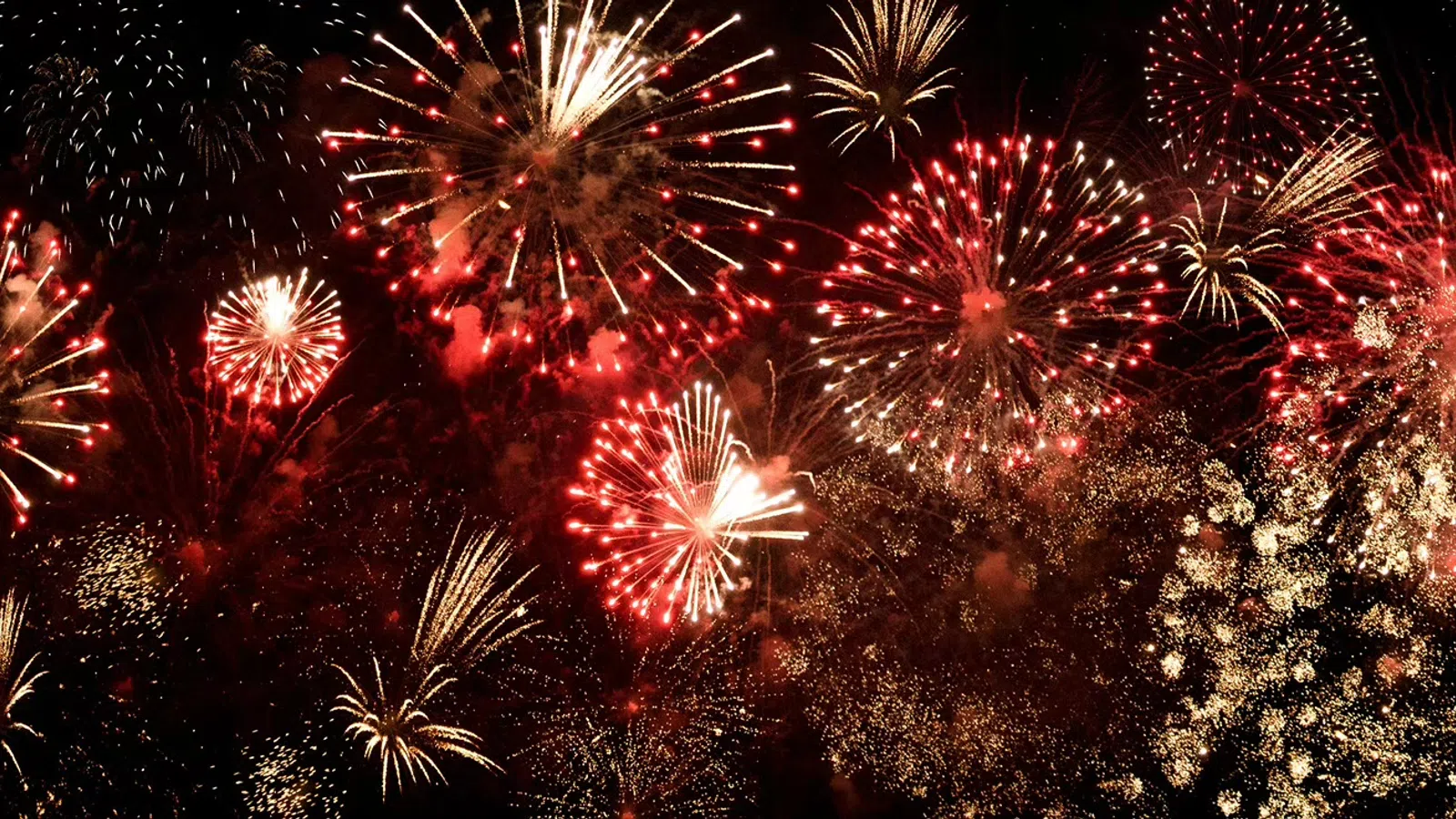 fireworks in the sky
