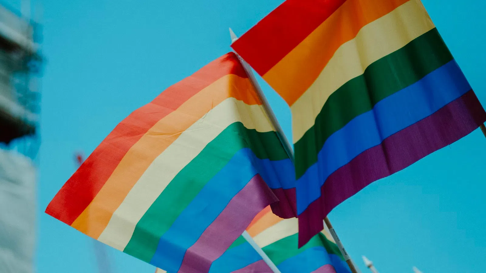 a rainbow colored flag