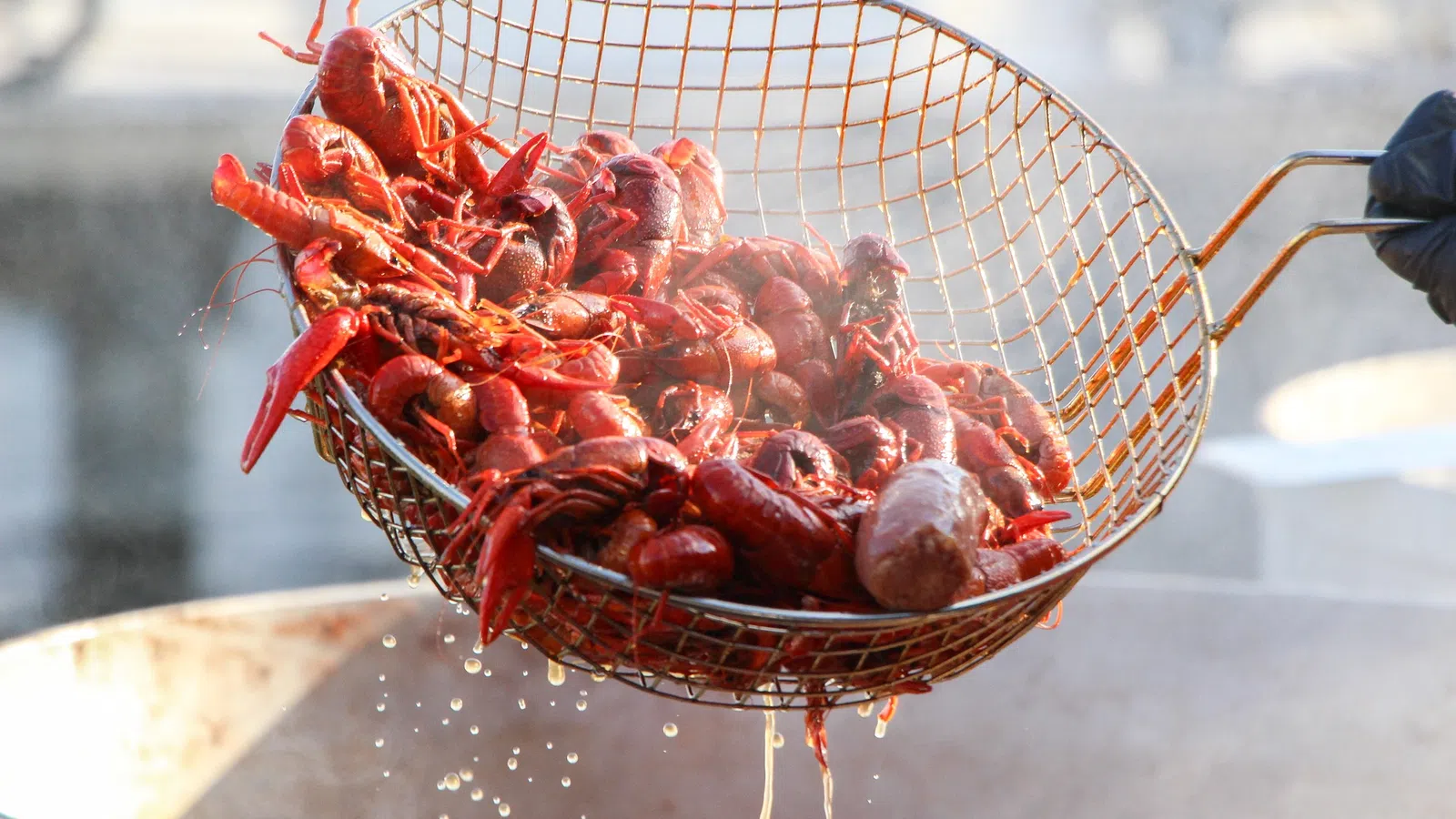 Louisiana Crawfish Industry Hit Hard by Pandemic Regulations