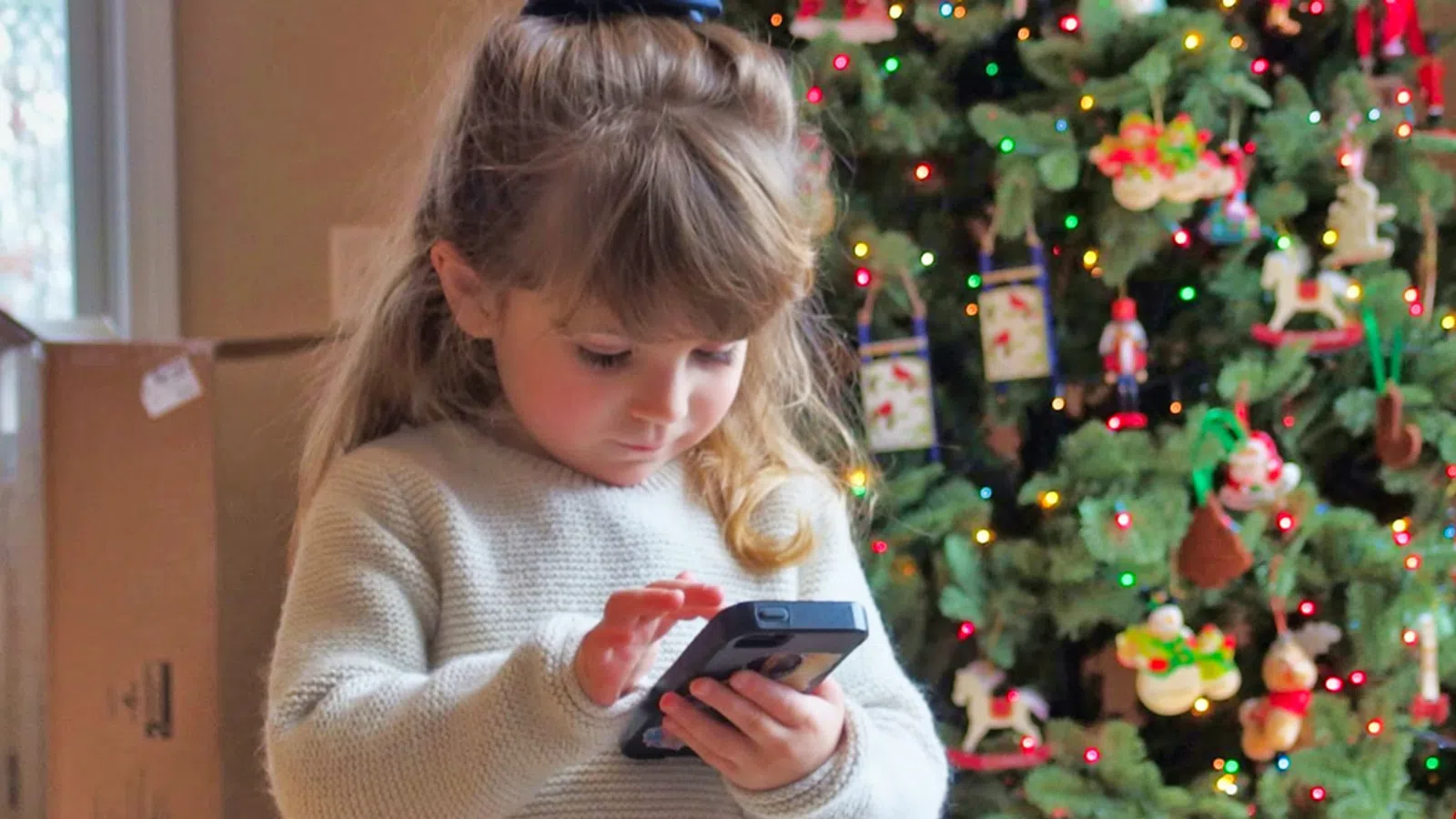 Christmas Quiz: What Christmas Item Are You?
