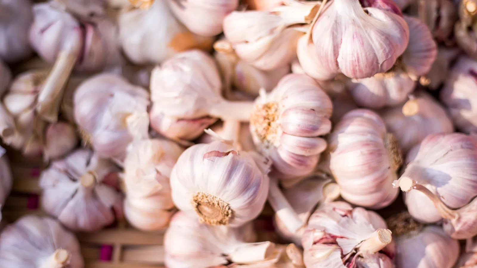 Five Great Dishes with Garlic for National Garlic Day