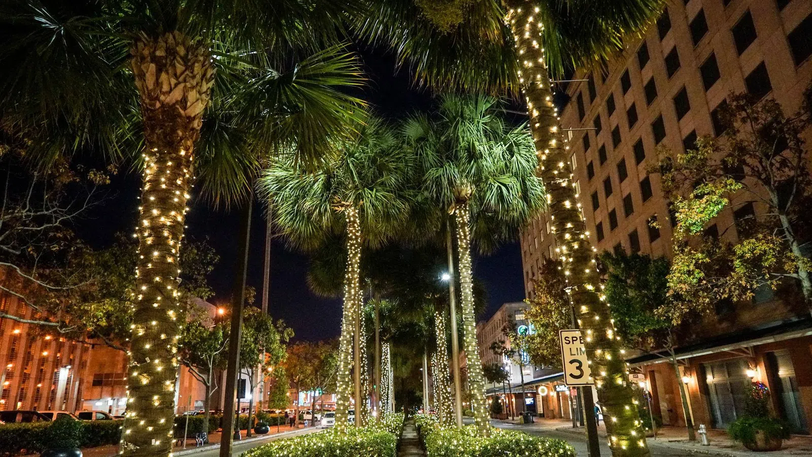 A Look into Christmas Fest