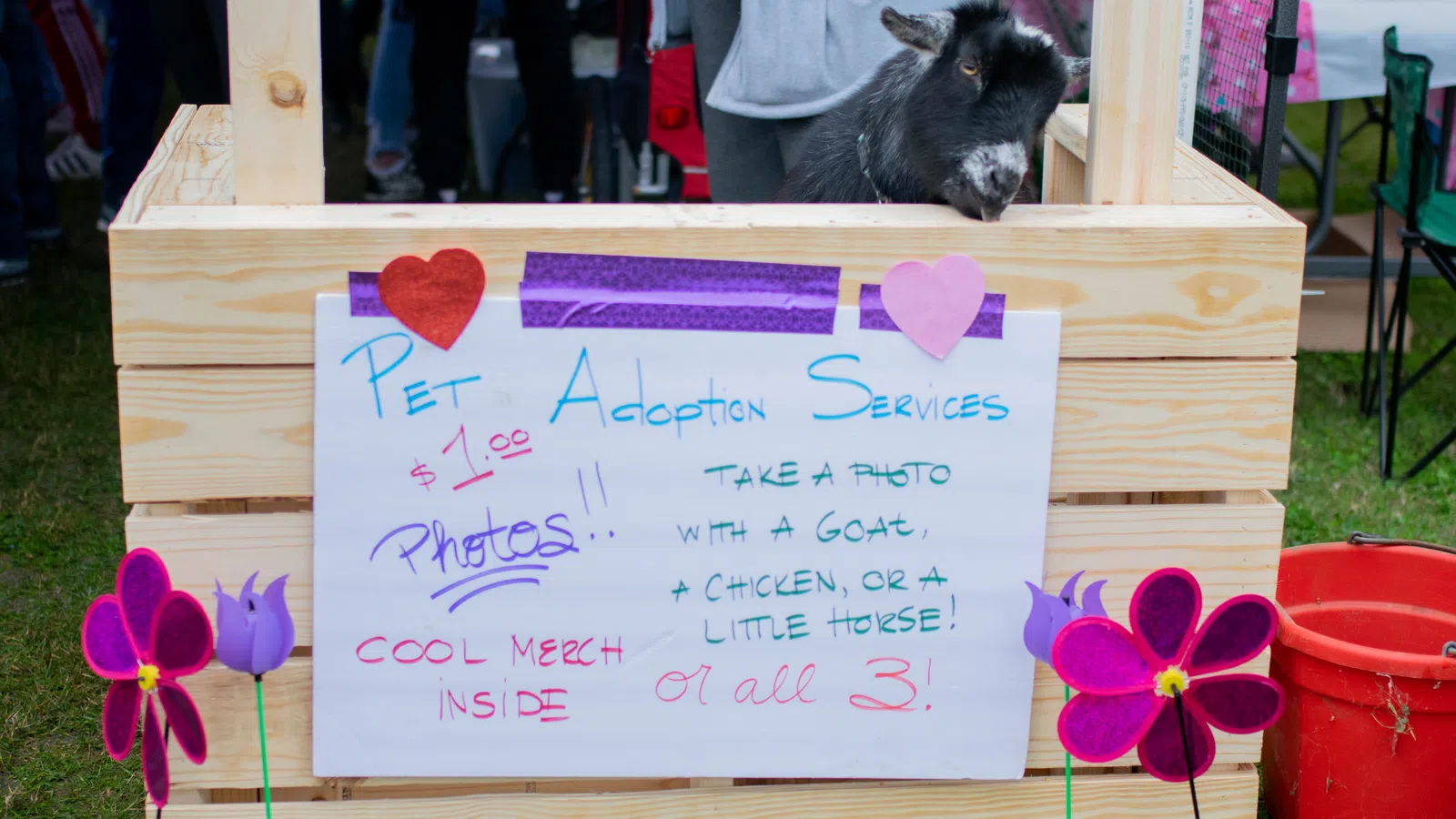 Pet Fest Urges Companion Seekers to #AdoptDontShop