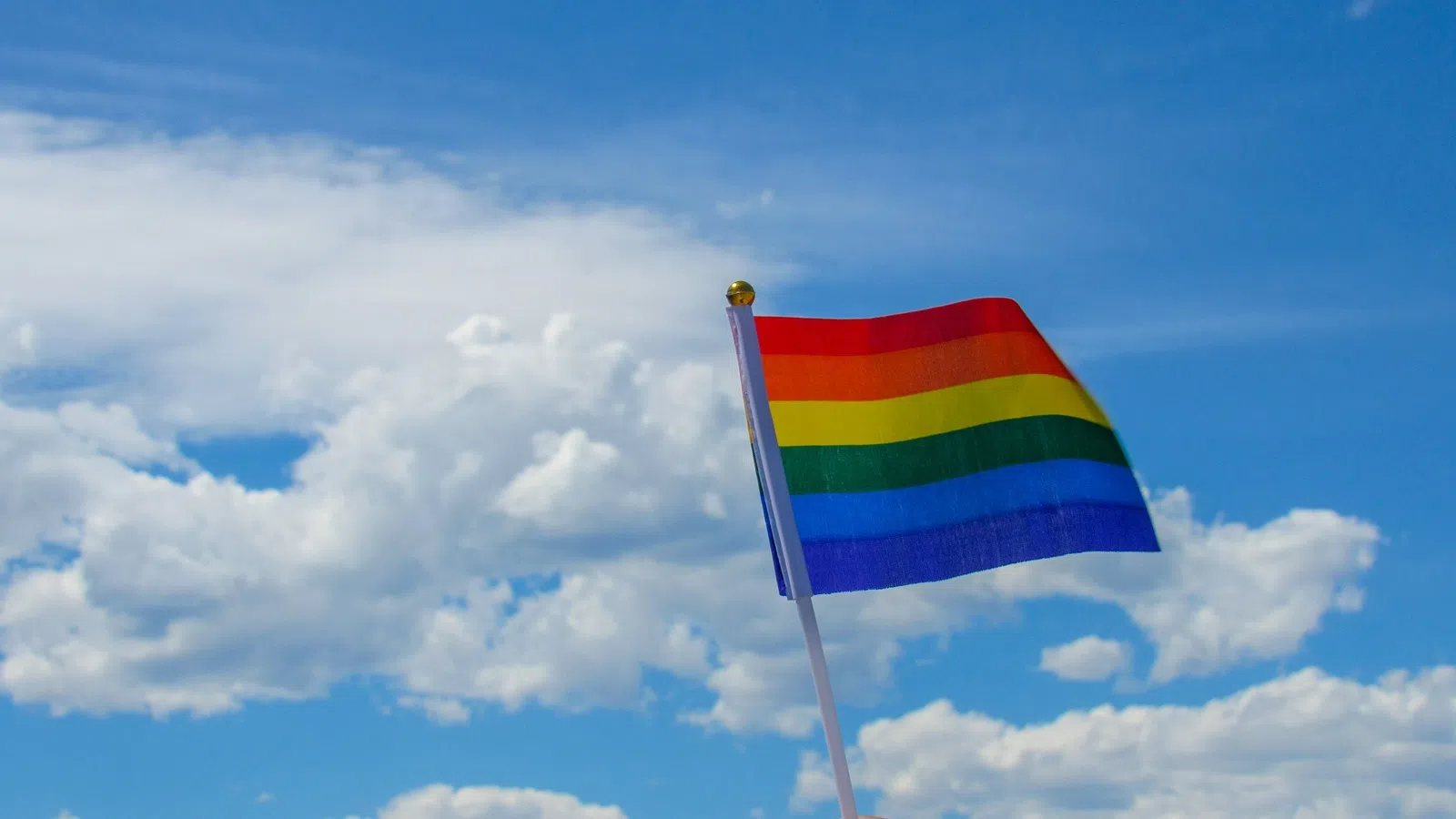 a hand holding a flag
