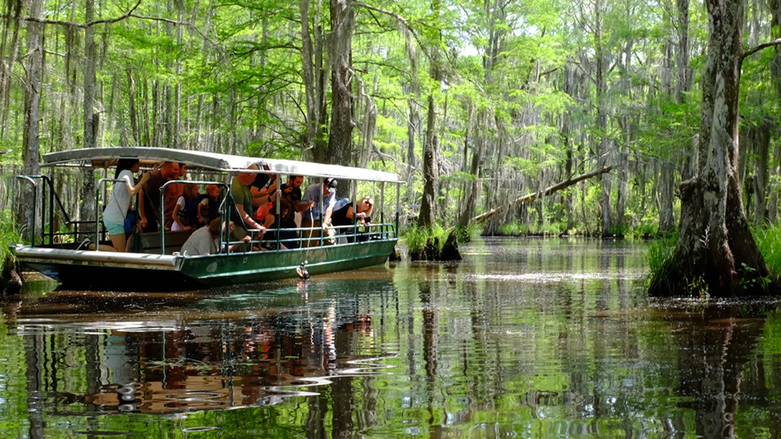Places Near & (Not So) Far: Summer Adventures in the Great Outdoors