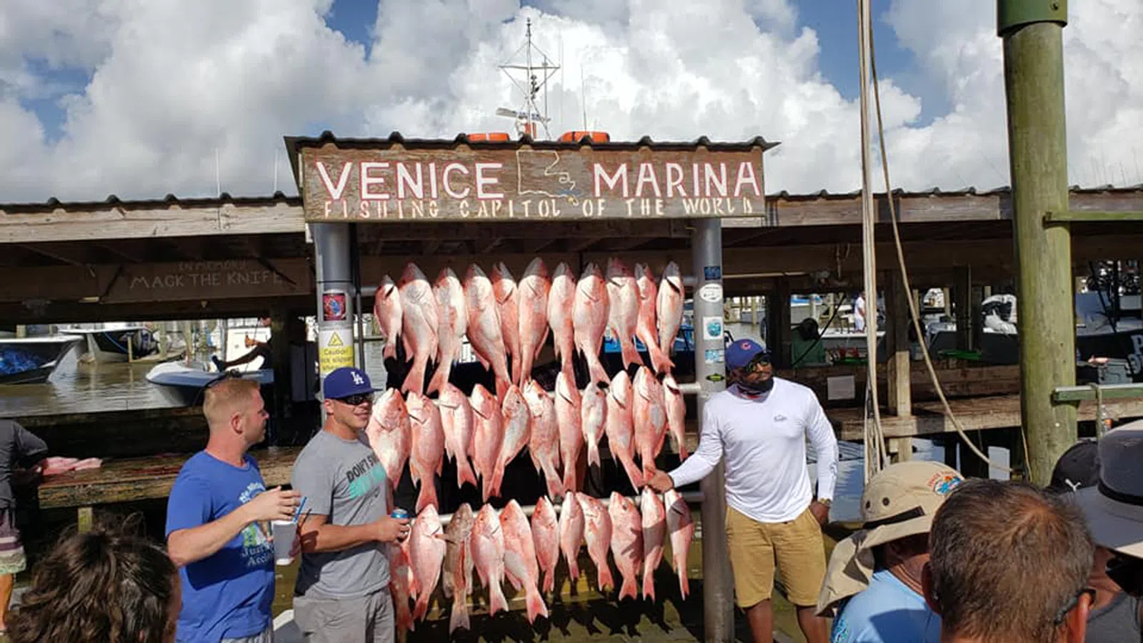 Fish Are Jumping