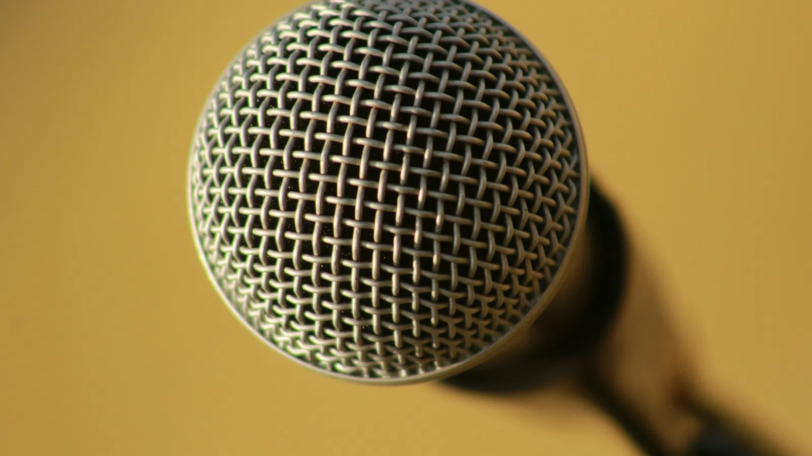 a black and silver microphone