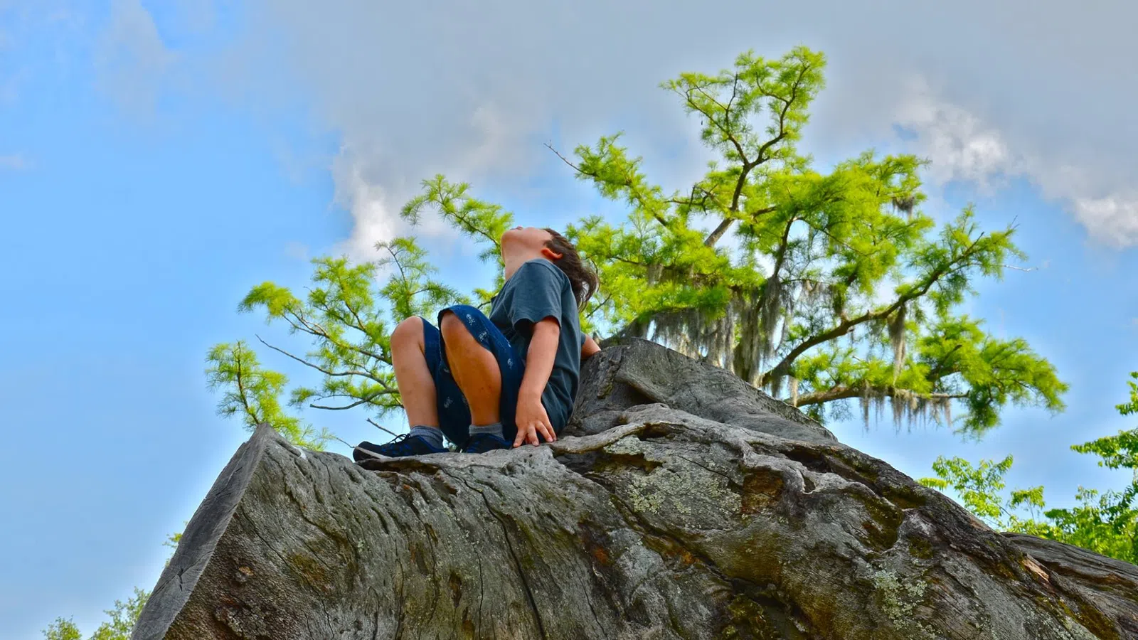 New Orleans City Park Named One of the Best City Parks in America