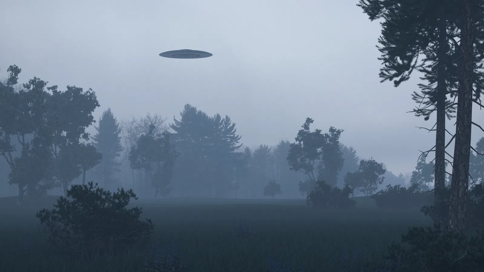 Foggy forest landscape with a dark UFO hovering above the treetops at dawn or dusk.