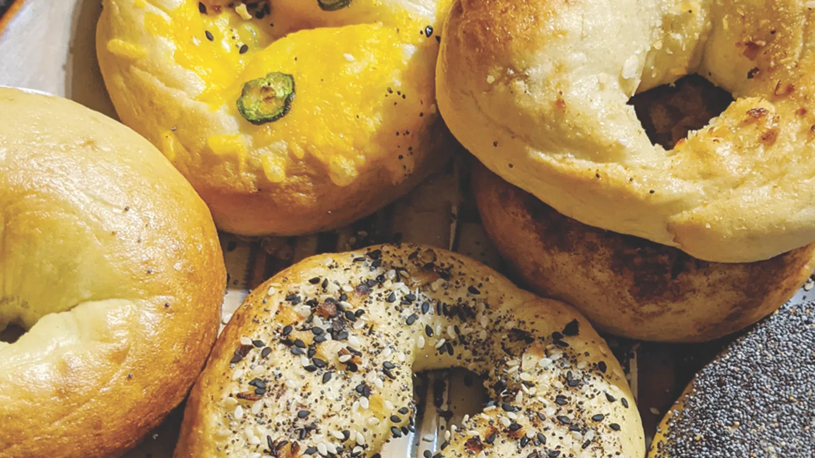 Where to Finagle a Bagel?