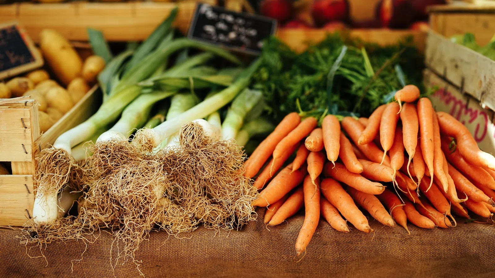 a bunch of carrots and other vegetables on a table