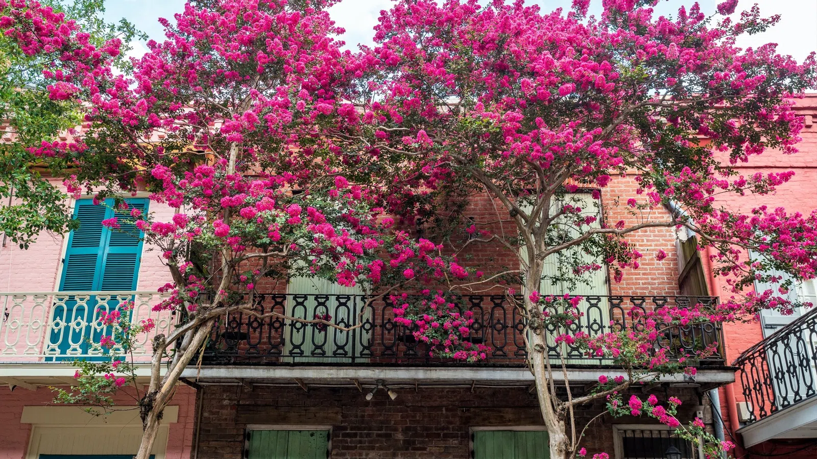 New Orleans Ranked 7th Best City in the World for Travel & Airbnb Quality