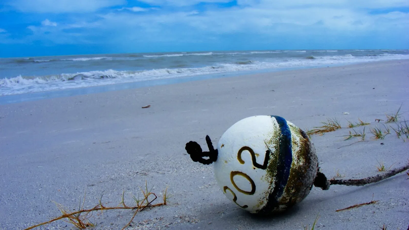 Mississippi Gulf Coast Beach Closures Could Have Financial Fallout