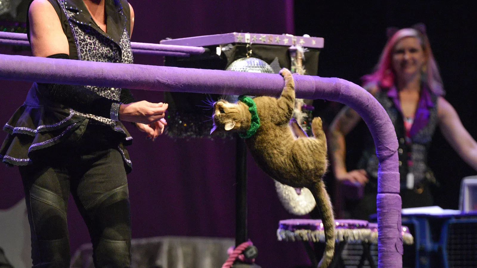 a man holding a snake in front of a woman on stage