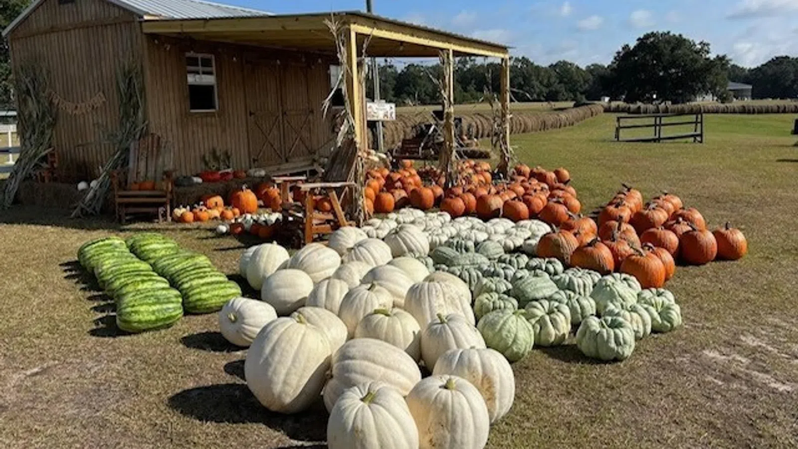a pile of vegetables