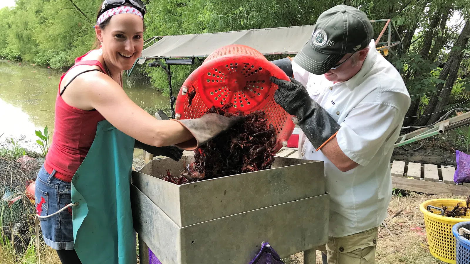 From Pond to Pot: Crawfishing in Louisiana