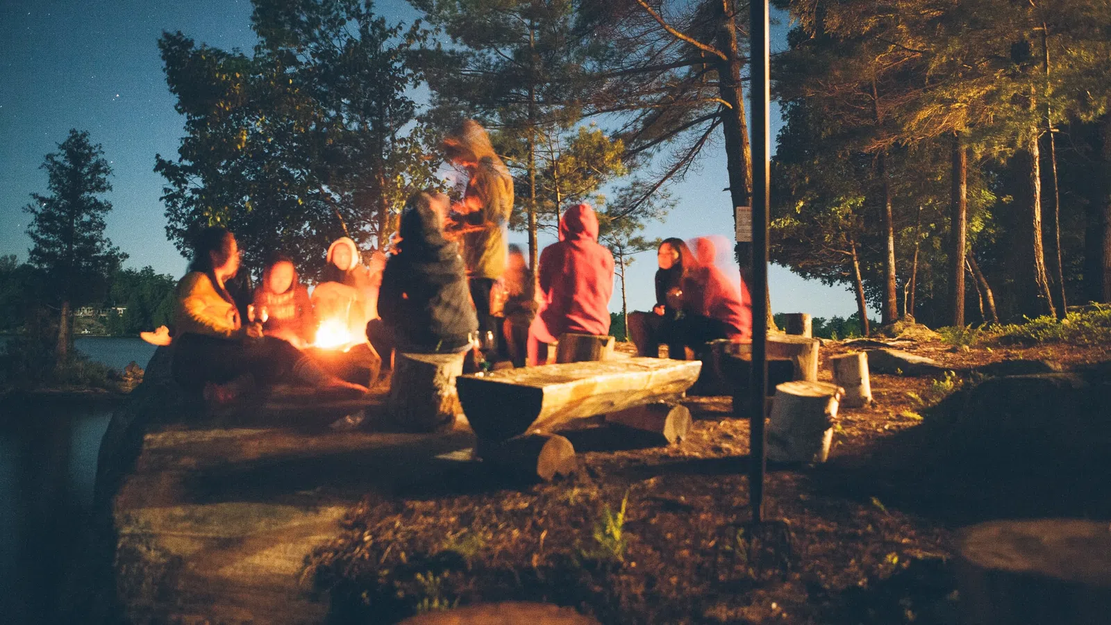 Wild Things Family Rumpus in New Orleans