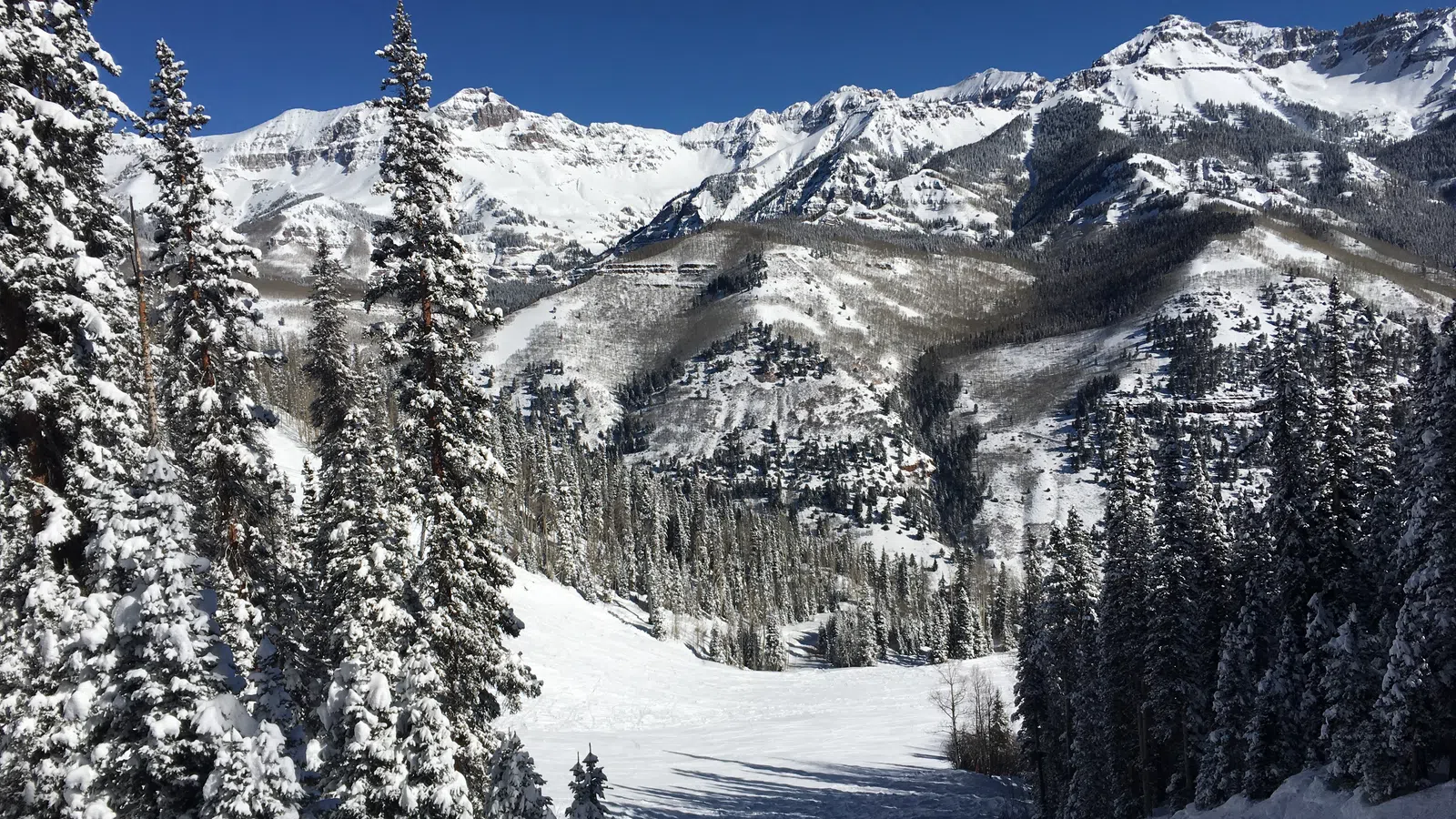 New Orleans in the Rockies
