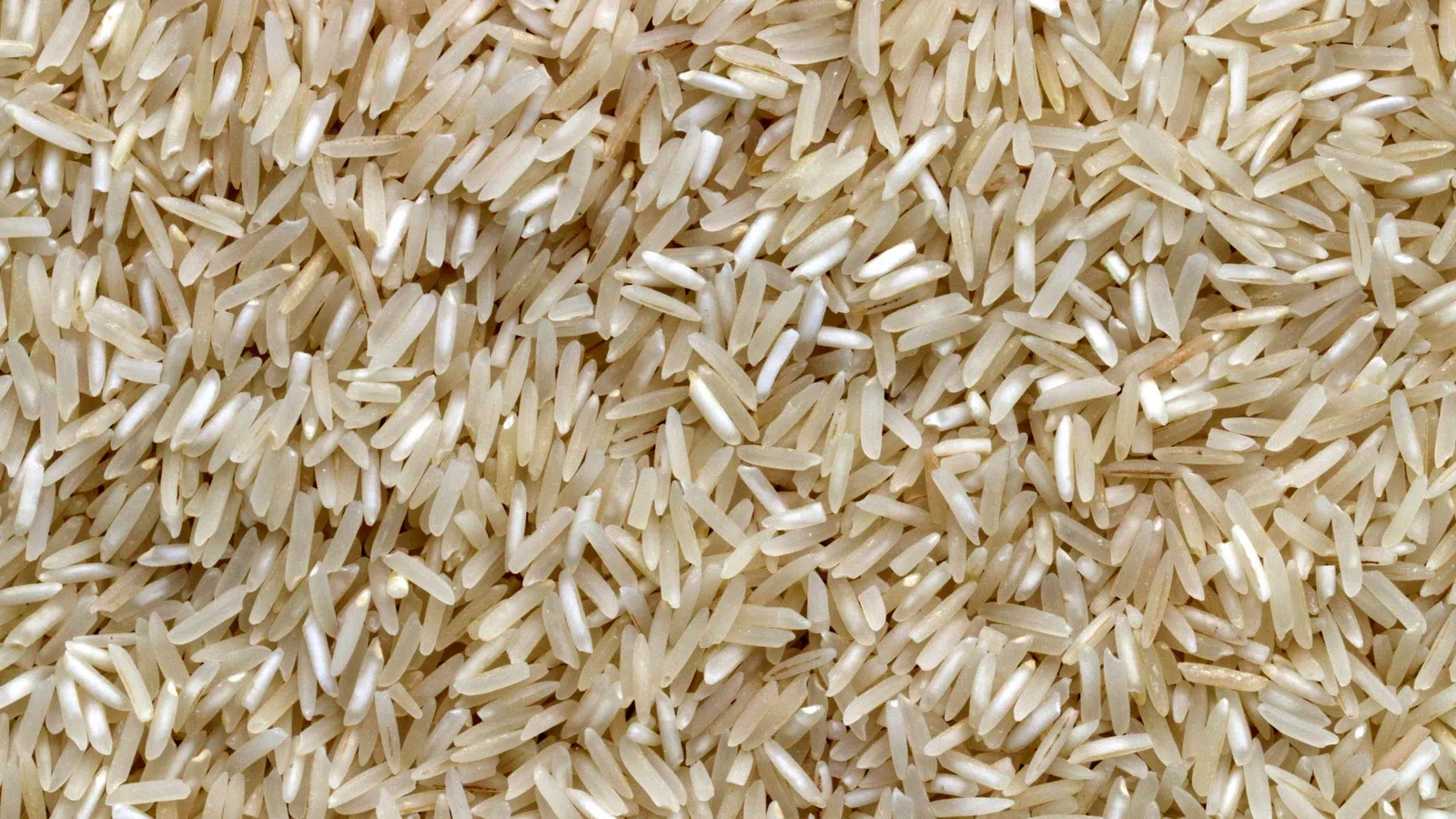 Local Company Jazzmen Rice is Cream of the Crop