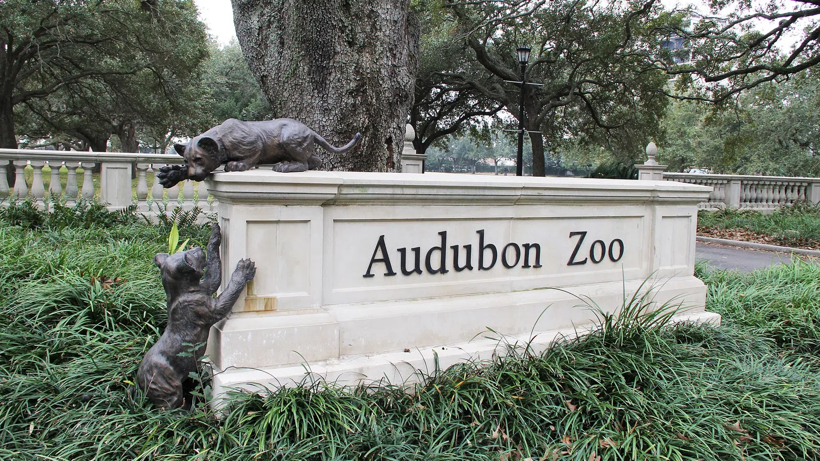 Annual Hancock Whitney Zoo-To-Do Cancelled, but Online Auction to be Held