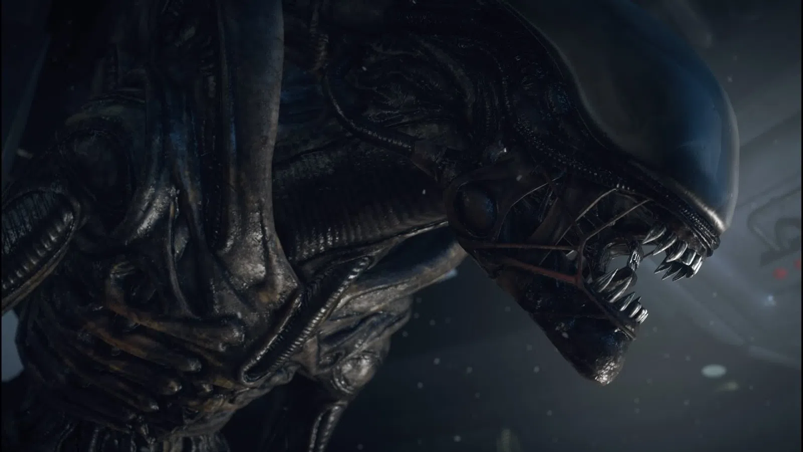 Top 20 Creature Features
