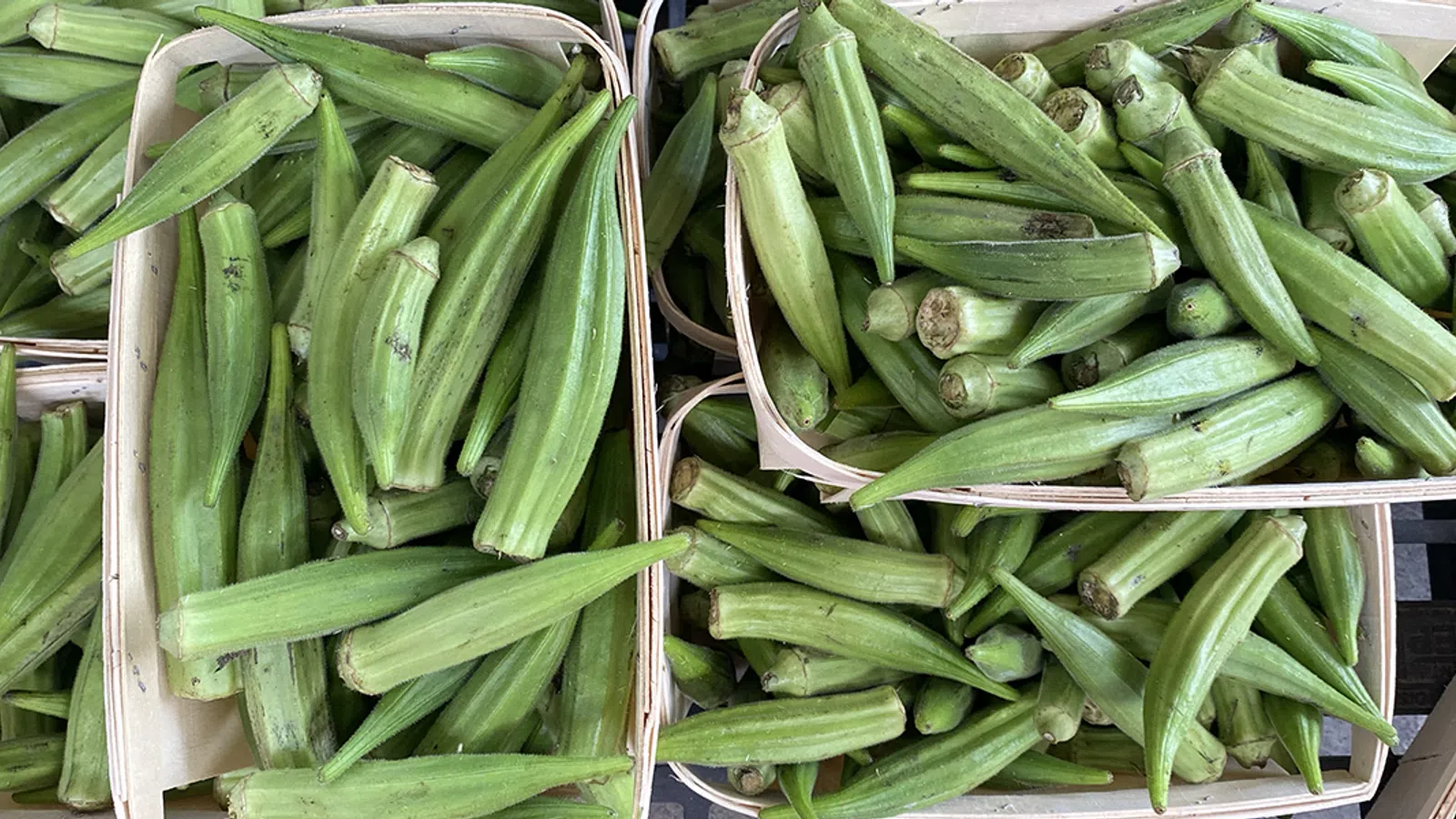 a close up of many different vegetables on display