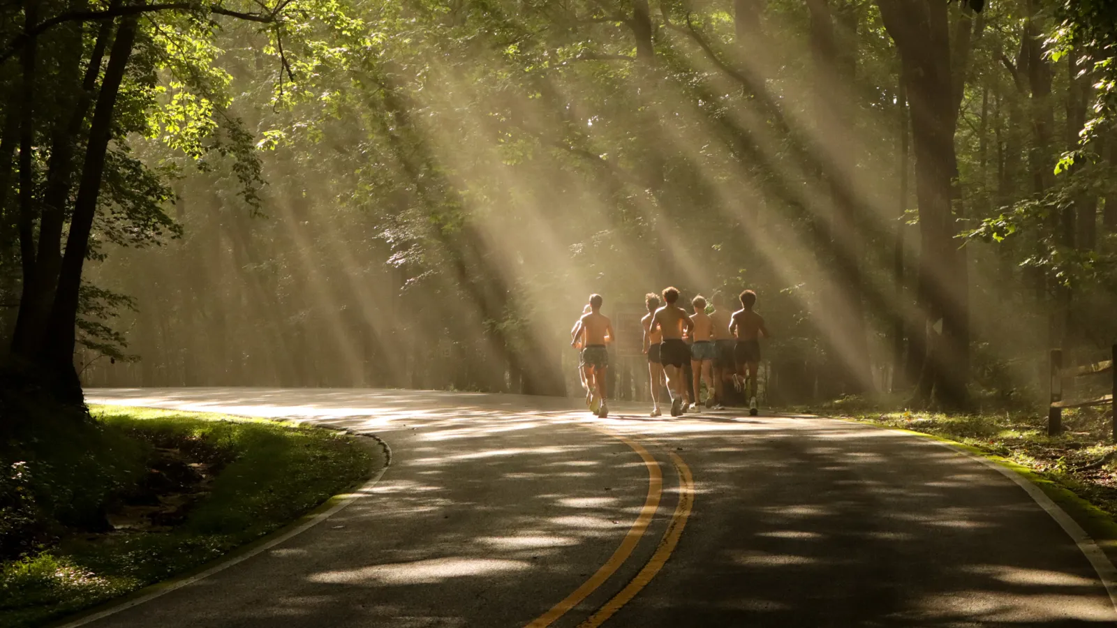 Group of runners jogging on a sunlit forest road with rays of light streaming through trees.