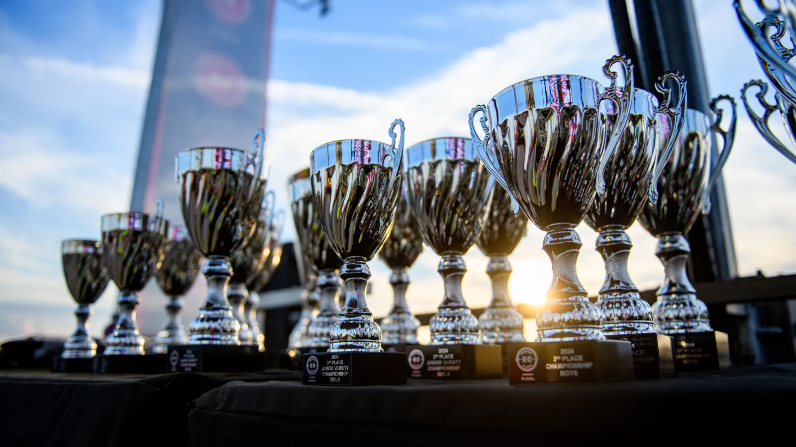 Shiny silver trophies lined up on a table with sunlight and a blue sky in the background.