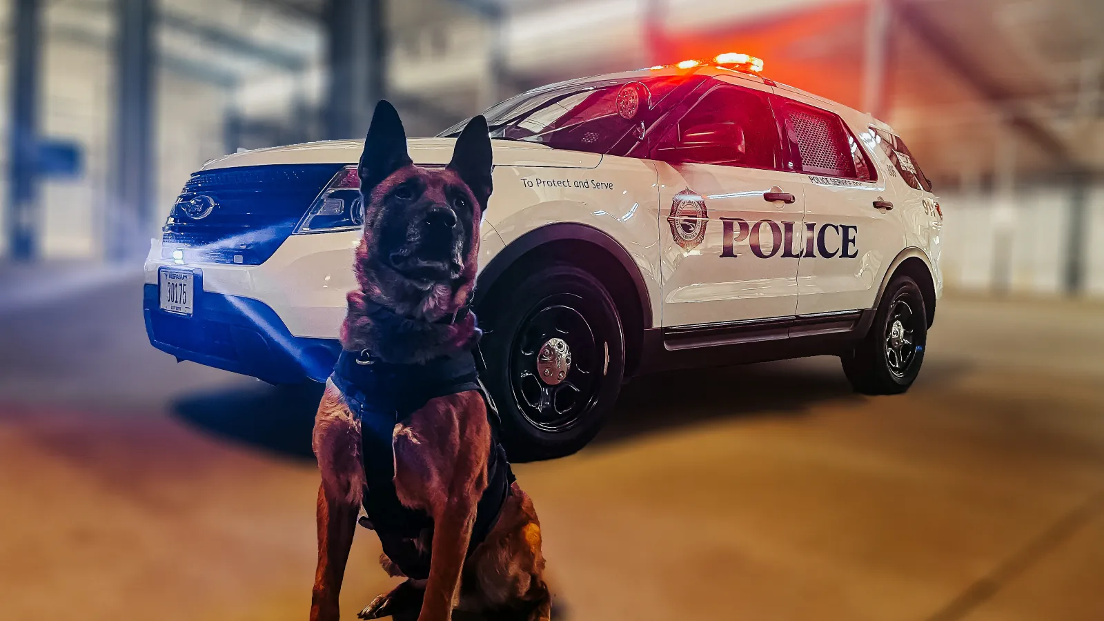 police K-9