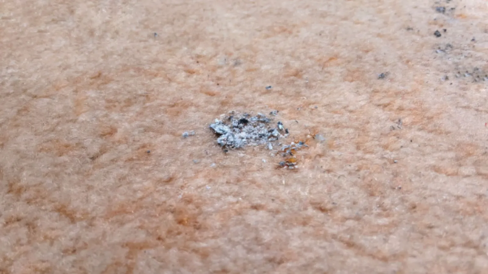 remove cigarette ash stains carpet How to Get Ash Out of Carpet Naturally