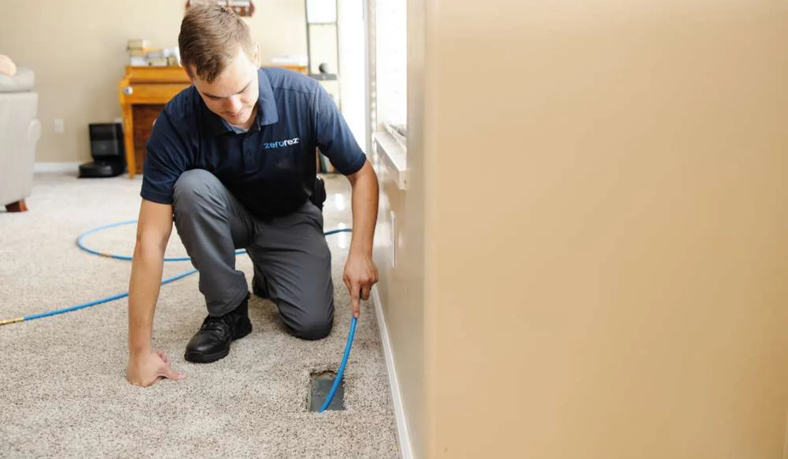 Technician in uniform cleaning carpet near wall using a blue tool in a bright home setting.