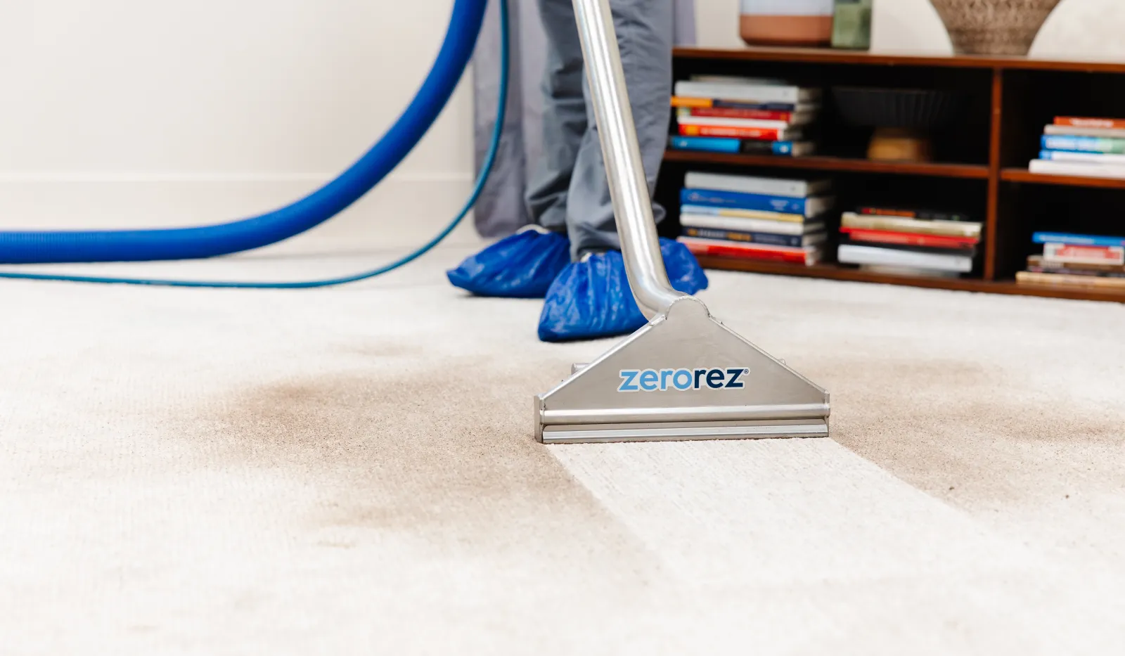 Professional carpet cleaning with Zerorez equipment showing clear difference between cleaned and dirty carpet.