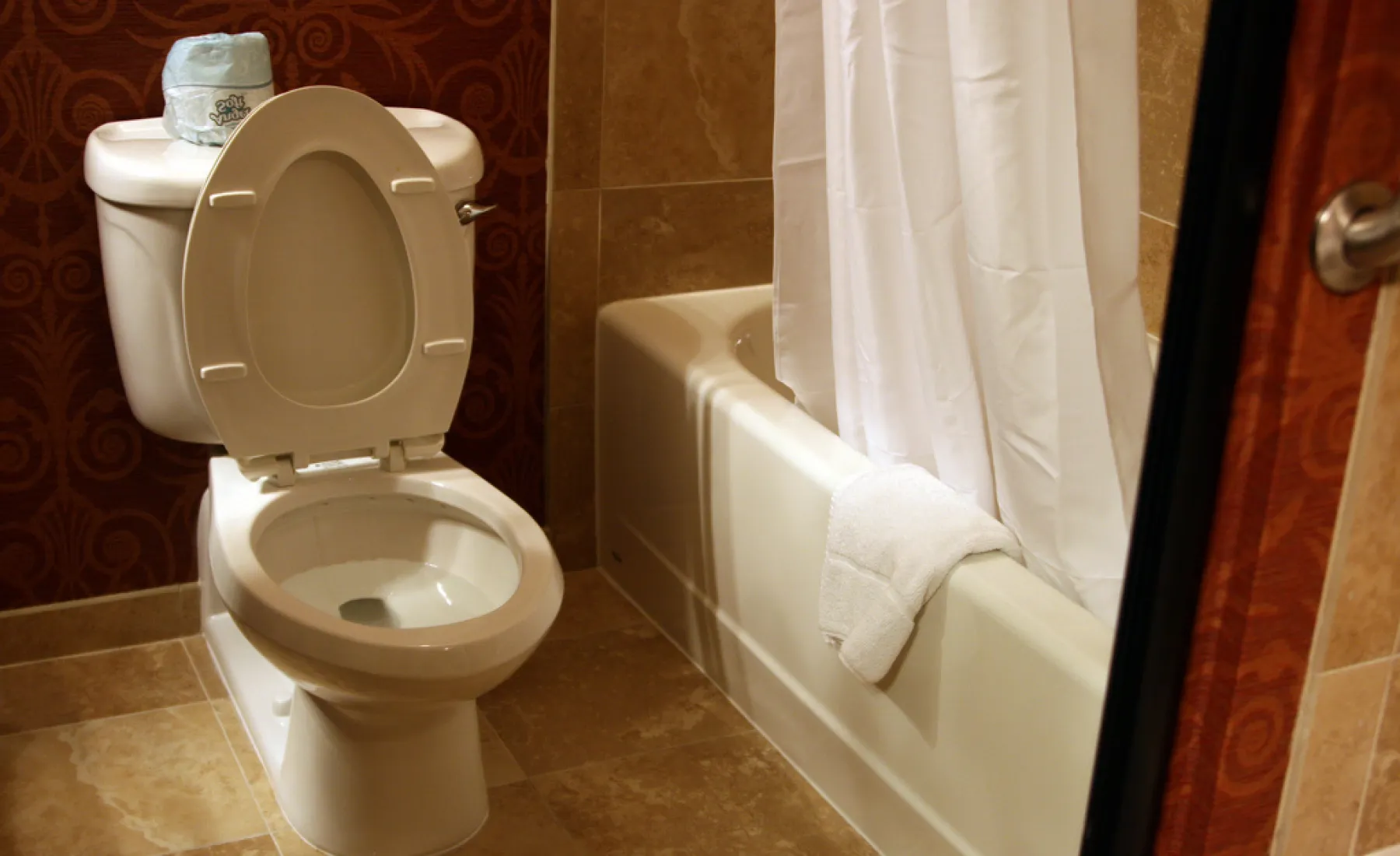 Are Rattling Pipes Causing a Headache? The Pink Plumber