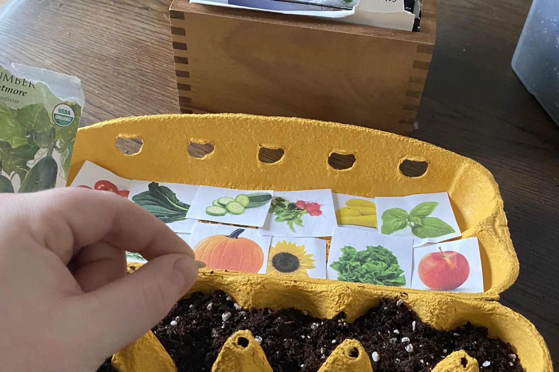 Egg Carton Seed Starting Kit Pike Nurseries