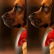 Side-by-side comparison of a dog photo in raster format and vector format