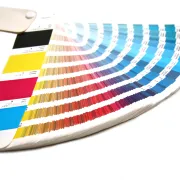 Pantone guide showing CMYK and Pantone Ink Colors