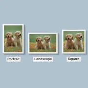 Examples of three Book Orientations - Portrait, Landscape, and Square