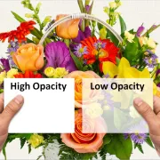 A colorful flower bouquet seen behind examples of high and low opacity paper stocks