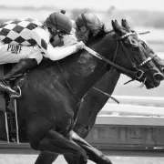 Two race horses running side by side on the track