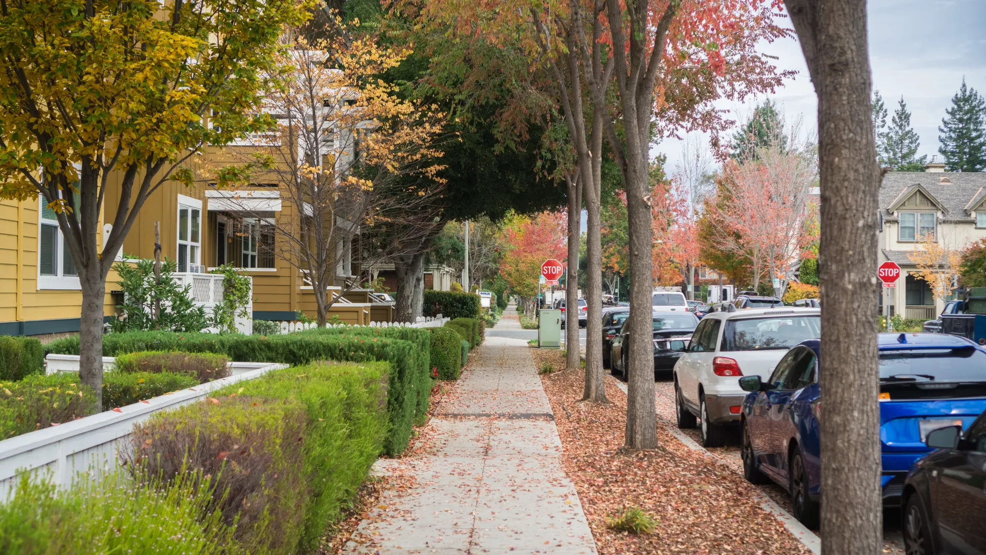 a sidewalk with cars parked along it