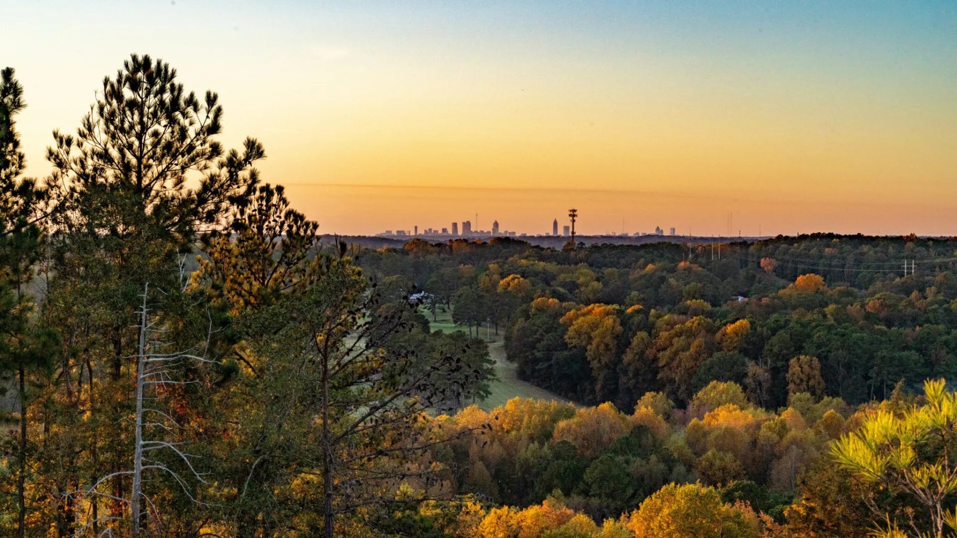 City skyline seen from a forested area during sunset with colorful autumn foliage.