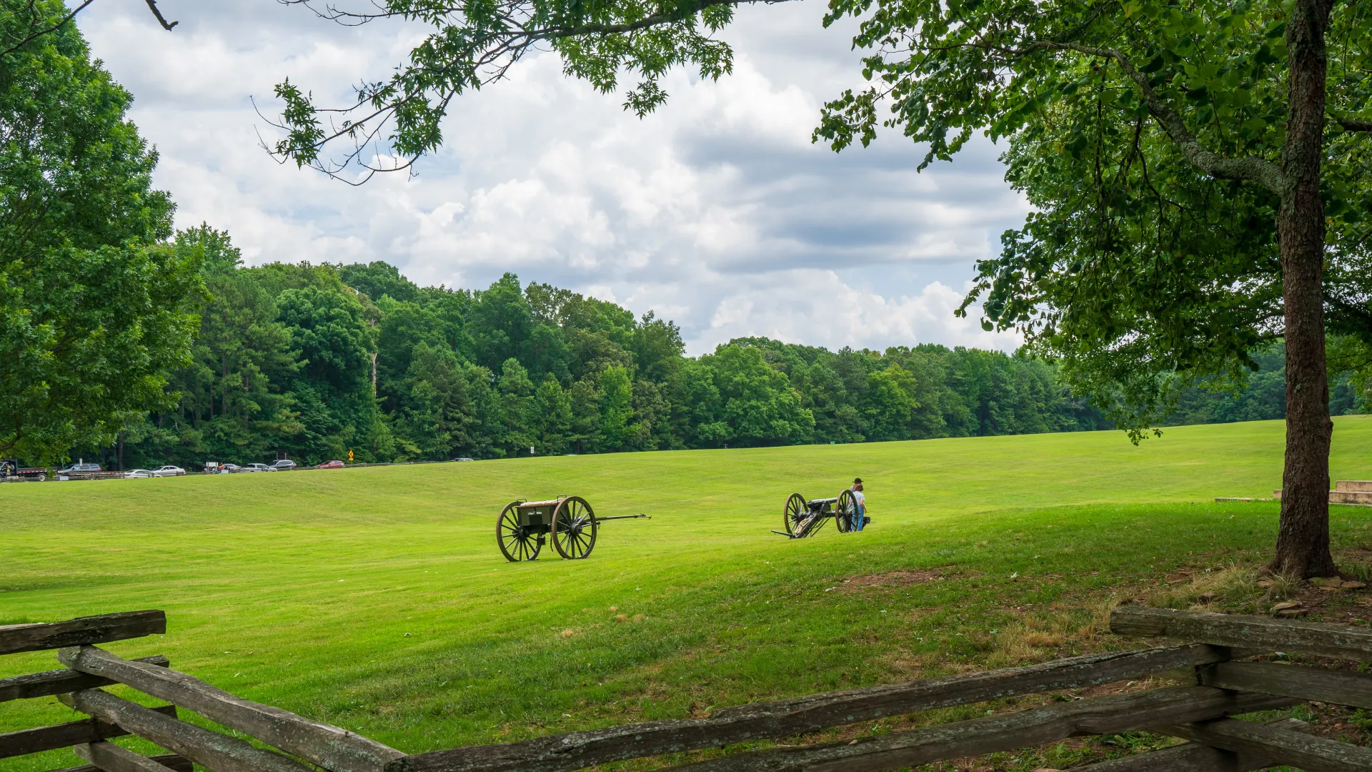 a person riding a bicycle on a grass field with trees in the background