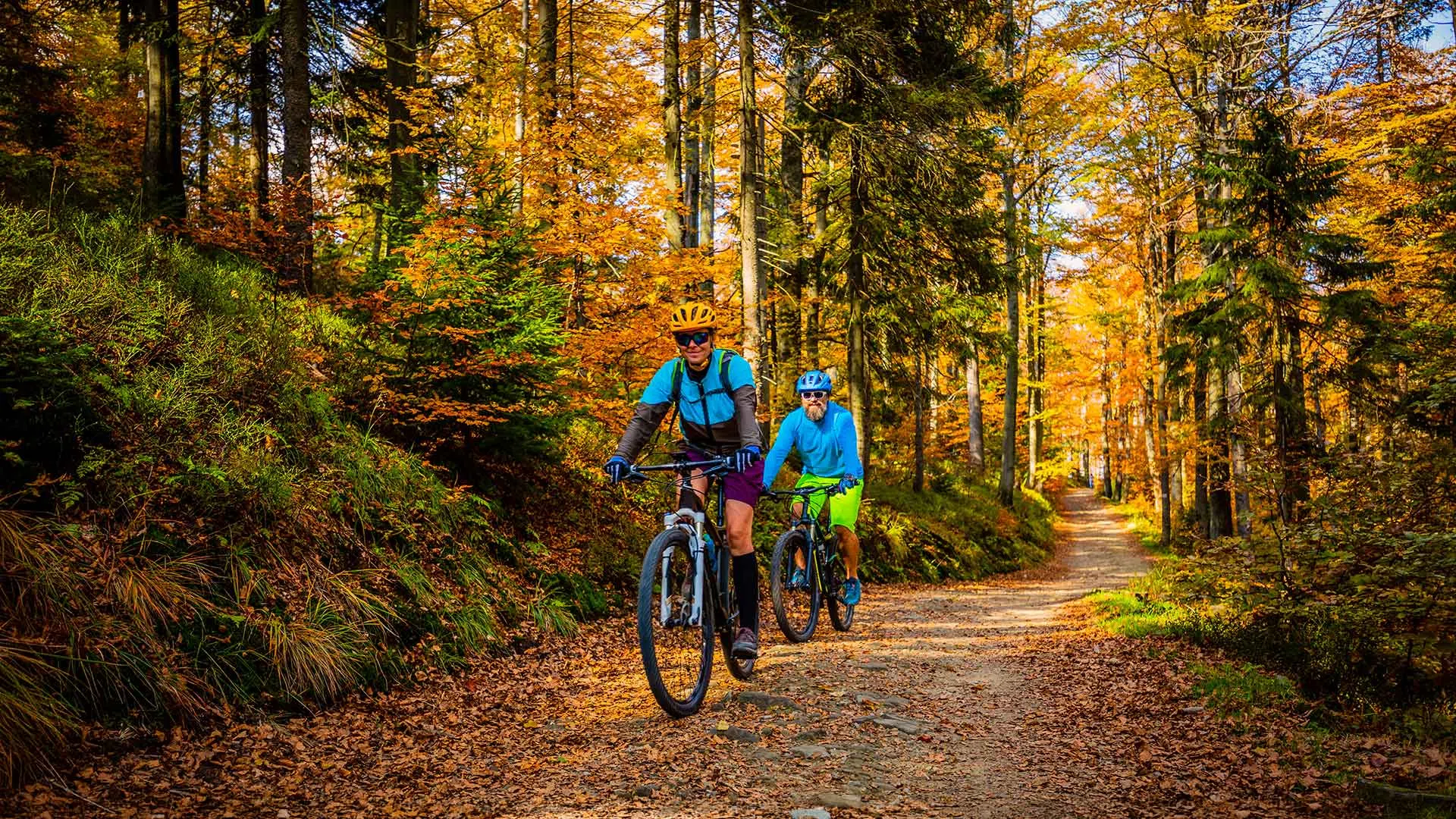Two cyclists riding mountain bikes on a forest trail surrounded by autumn foliage and colorful leaves.