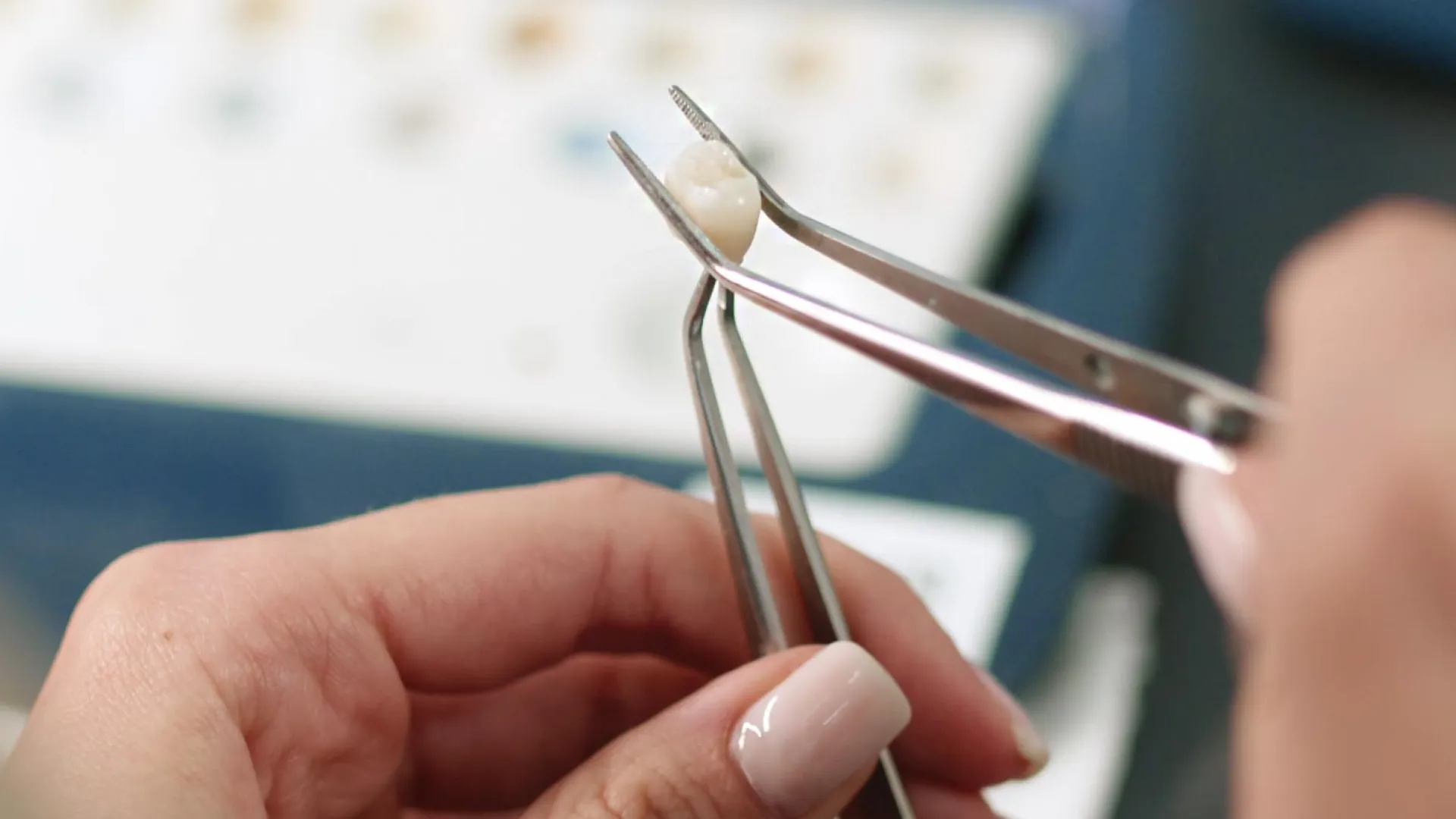 Close-up of hands using tweezers to hold a tooth in the dental lab