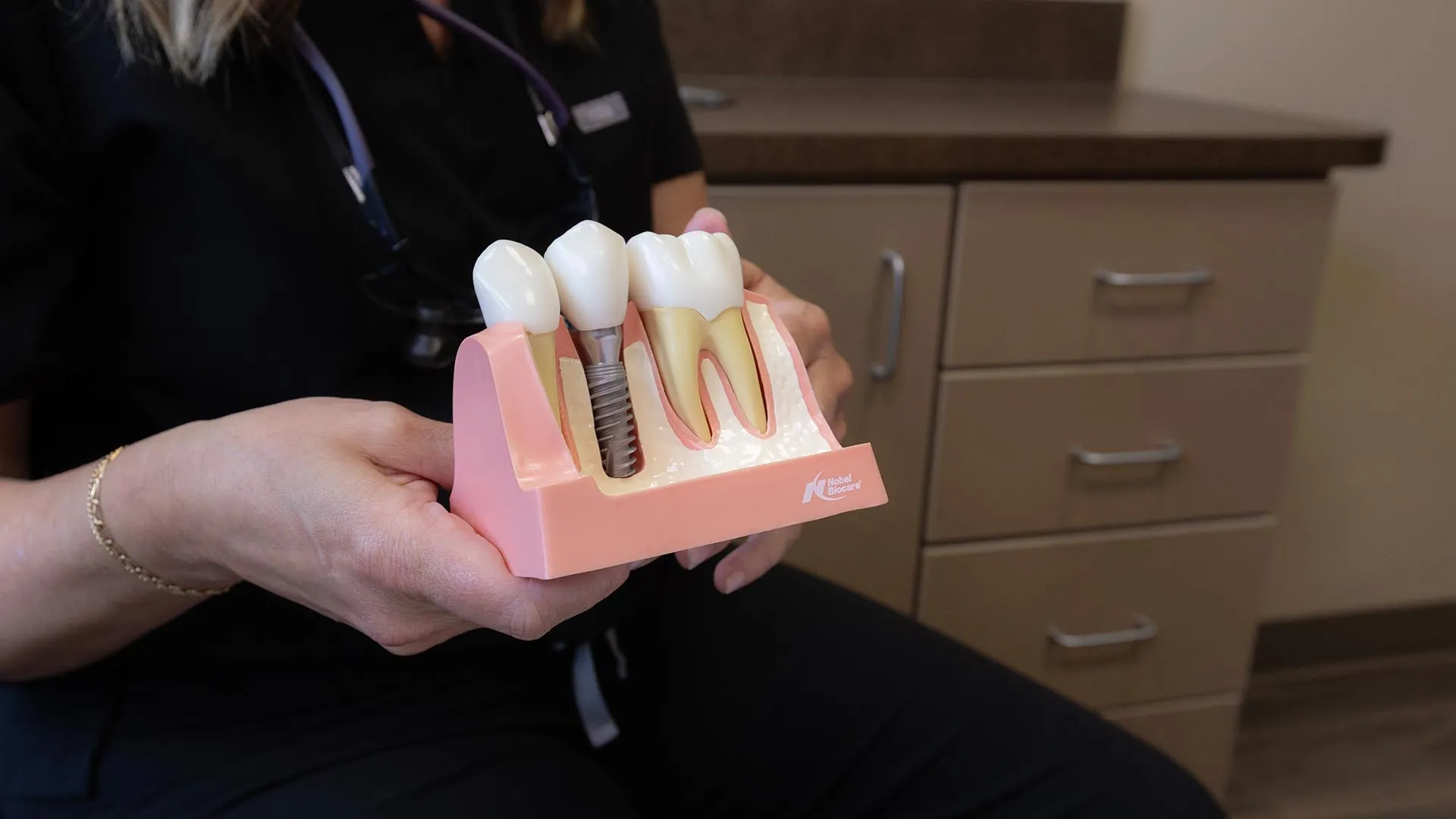 Dental professional holding a model showing natural teeth and a dental implant in a clinic setting.