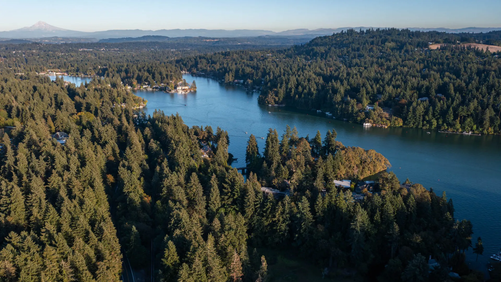 Aerial view of dense evergreen forest surrounding a winding river under clear blue sky with mountains in the distance