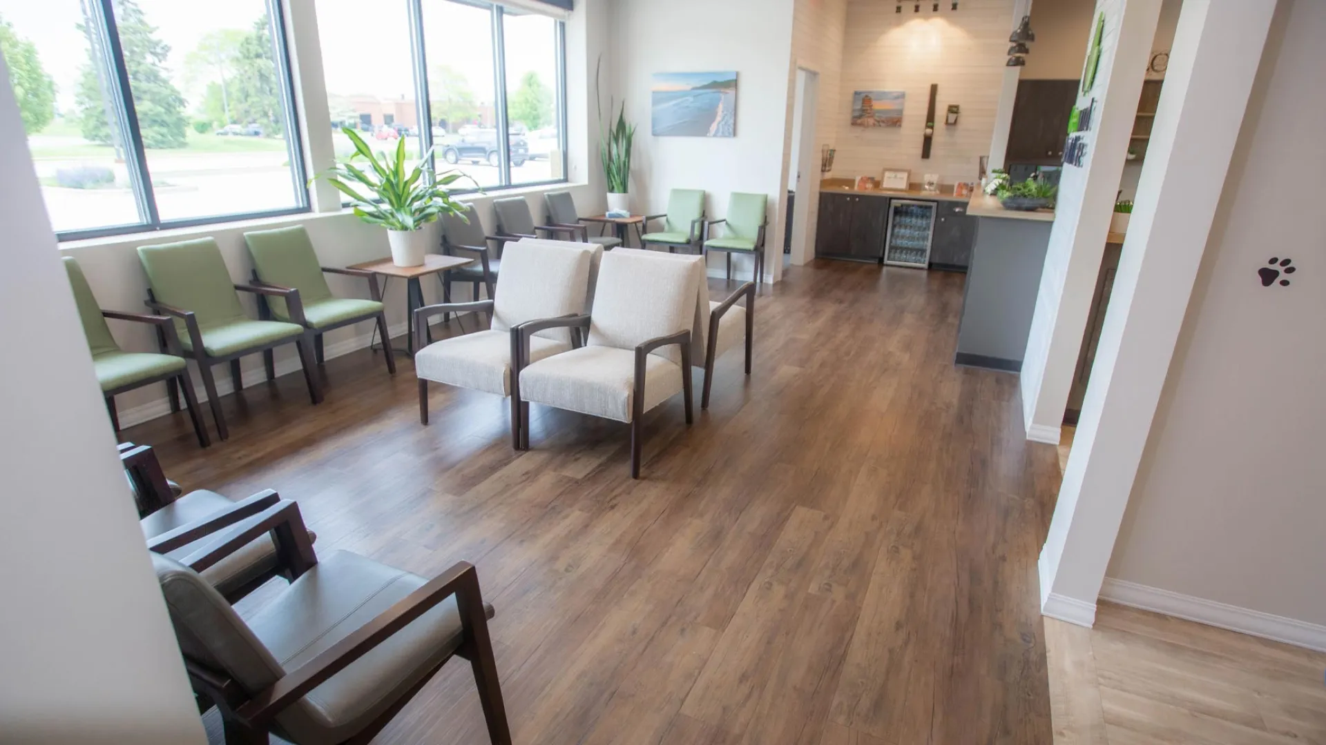 Bright waiting room with wood floors, green and beige chairs, large windows, plants, and wall art