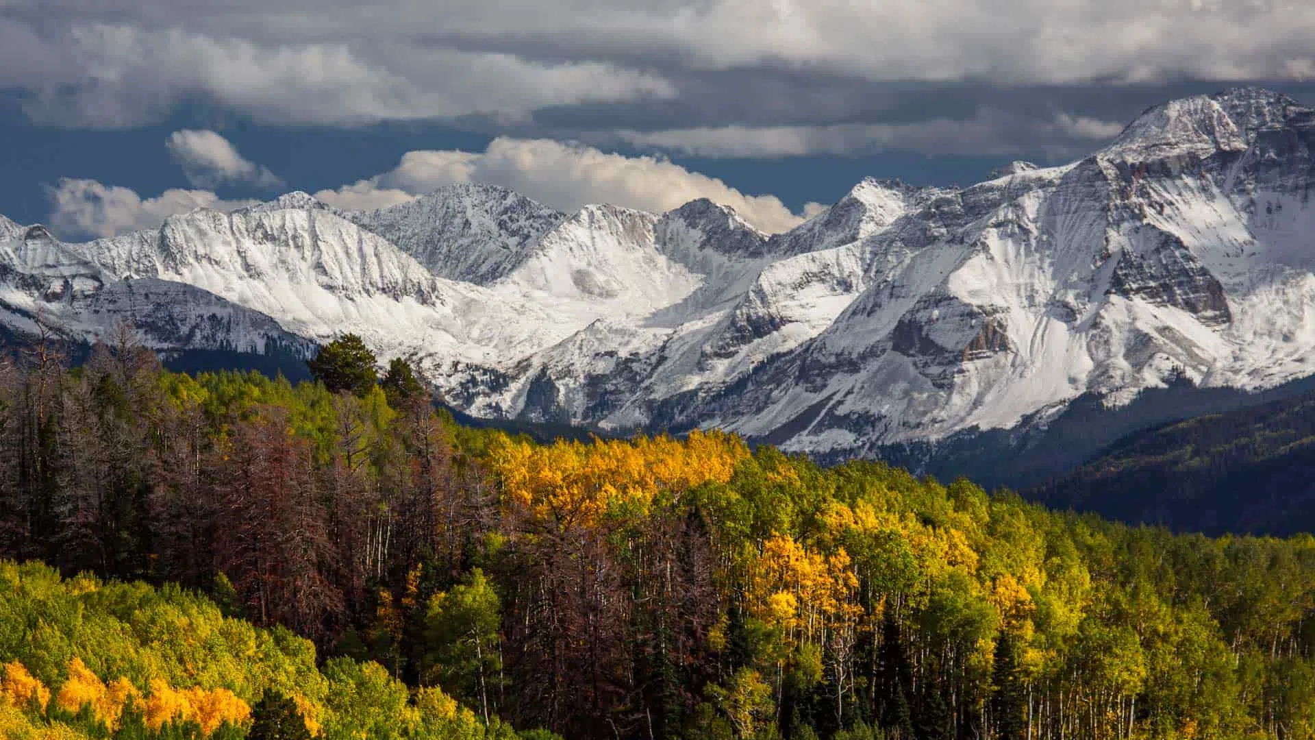 Snow-covered mountain range behind a forest with green and yellow autumn trees under a cloudy sky