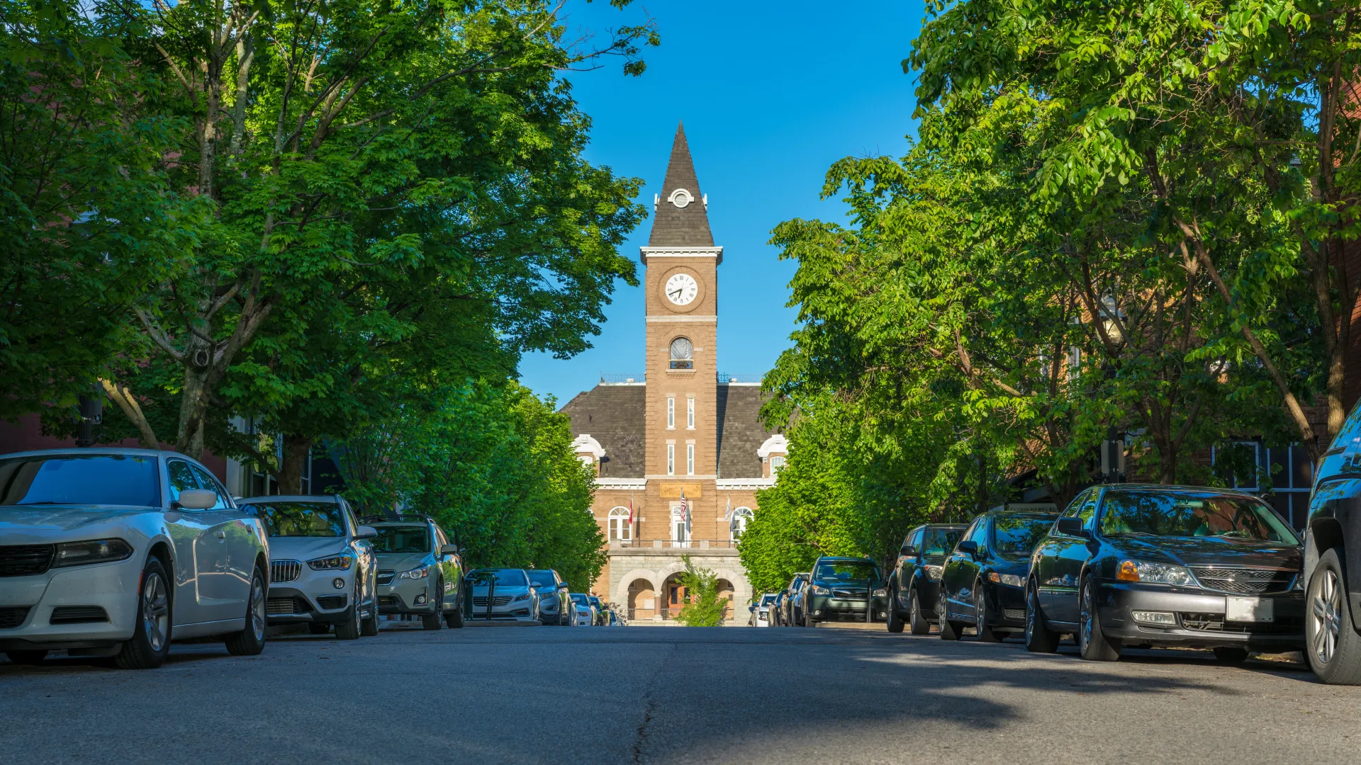 A tree-lined street featuring parked cars and a historic clock tower in the background under a blue sky.